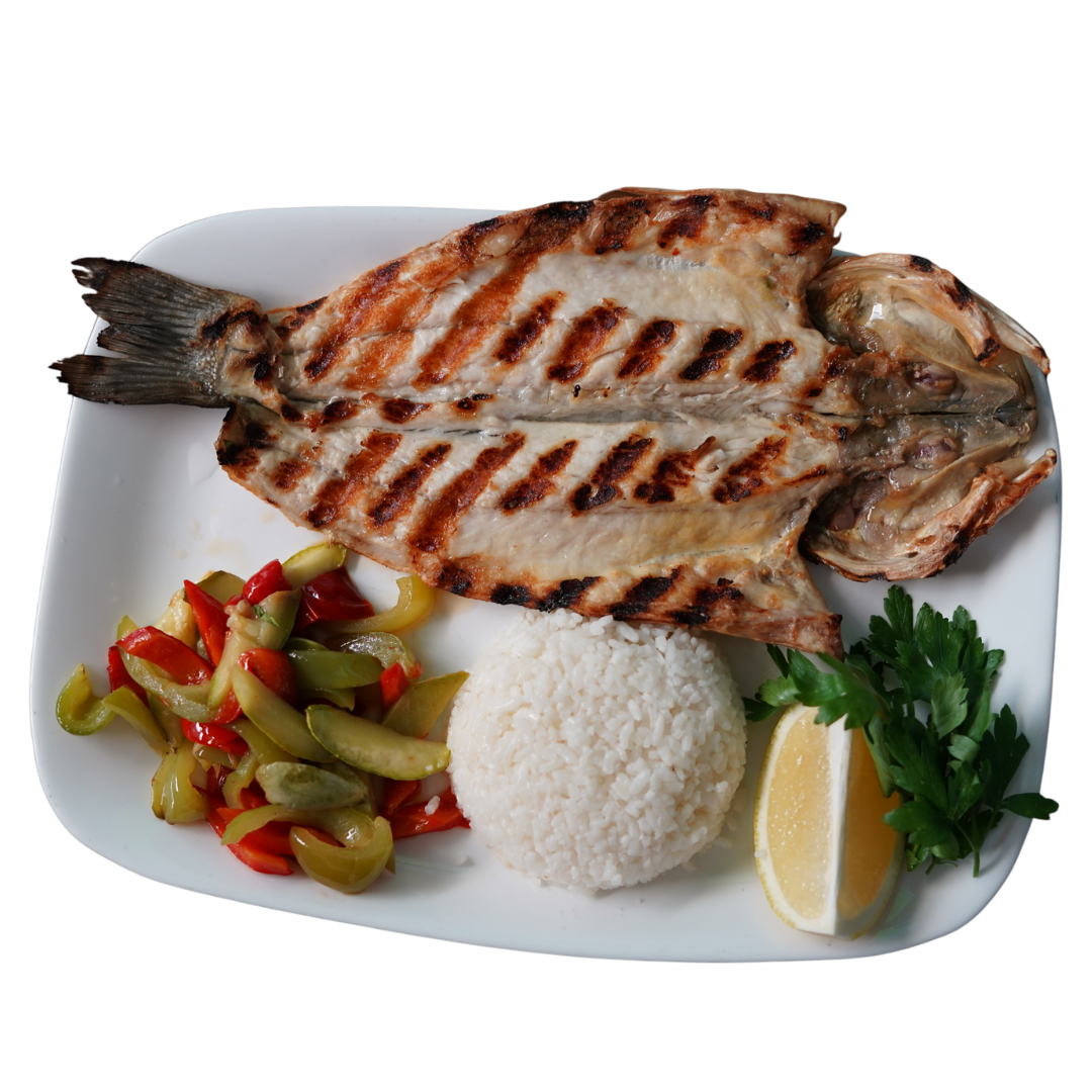 Fish
